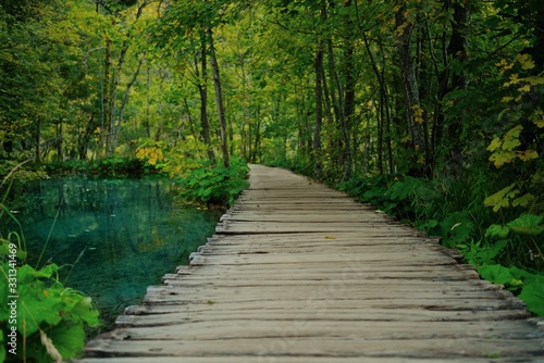 Fototapeta Naklejka Na Ścianę i Meble -  wooden bridge in forest