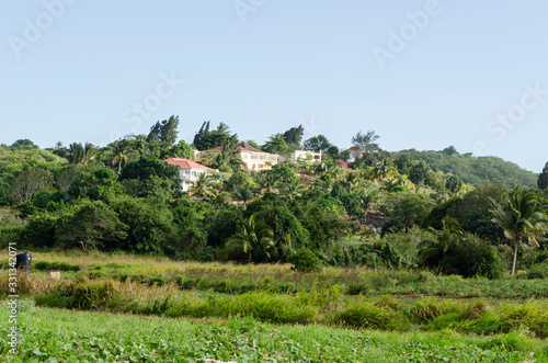 Houses In Hill