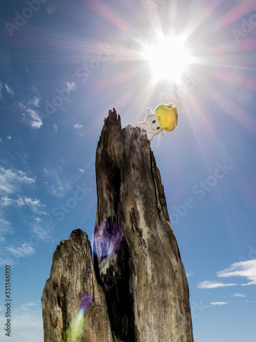 Falling Mushroom