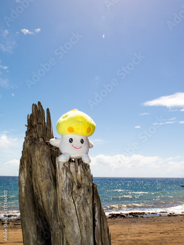 Mushroom by the beach