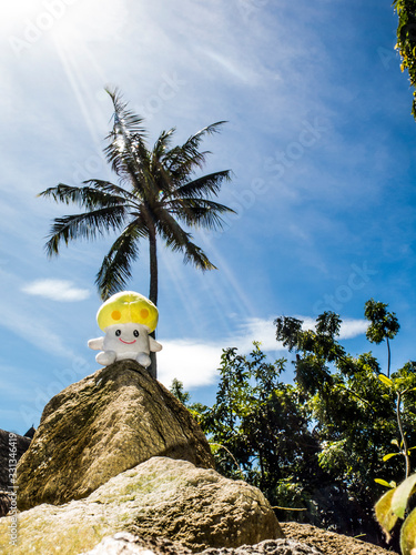 Sunbathing mushroom