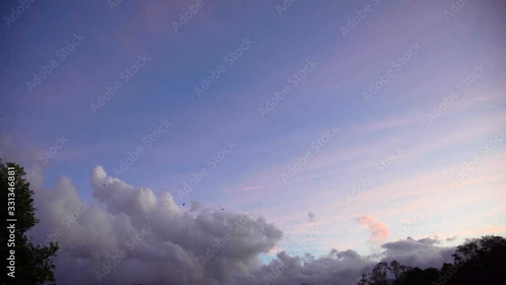 pastel colour sky and birds bats flying pretty sunset sunrise sky storm cloud rural area Australia pastel colour sky and birds bats flying pretty sunset sunrise sky storm cloud rural area Australia