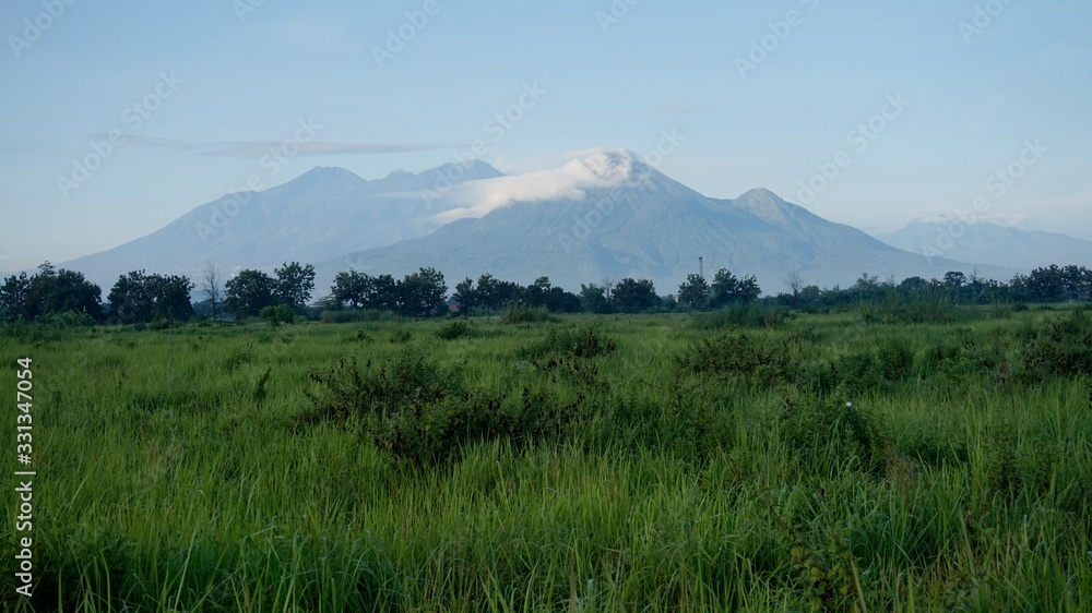 Fototapeta premium Grassland and Cloudy Mountain