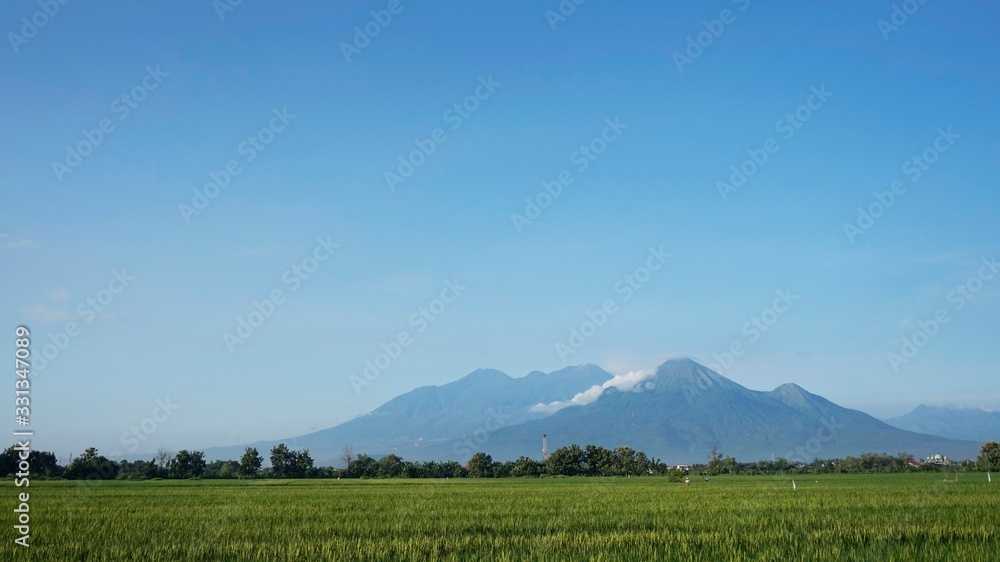 Group of Mountain