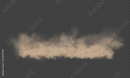 Dust cloud, sand storm, powder spray on transparent background. Desert wind with cloud of dust and sand. Realistic vector illustration.