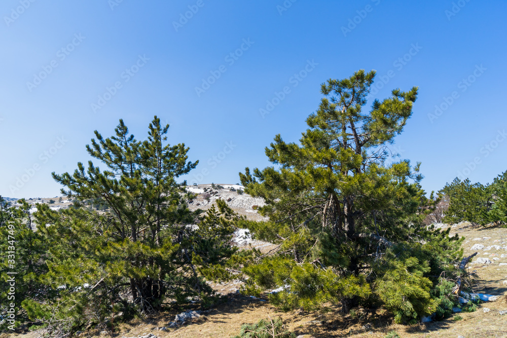 Image of a mountain plateau. Image of a mountain plateau.