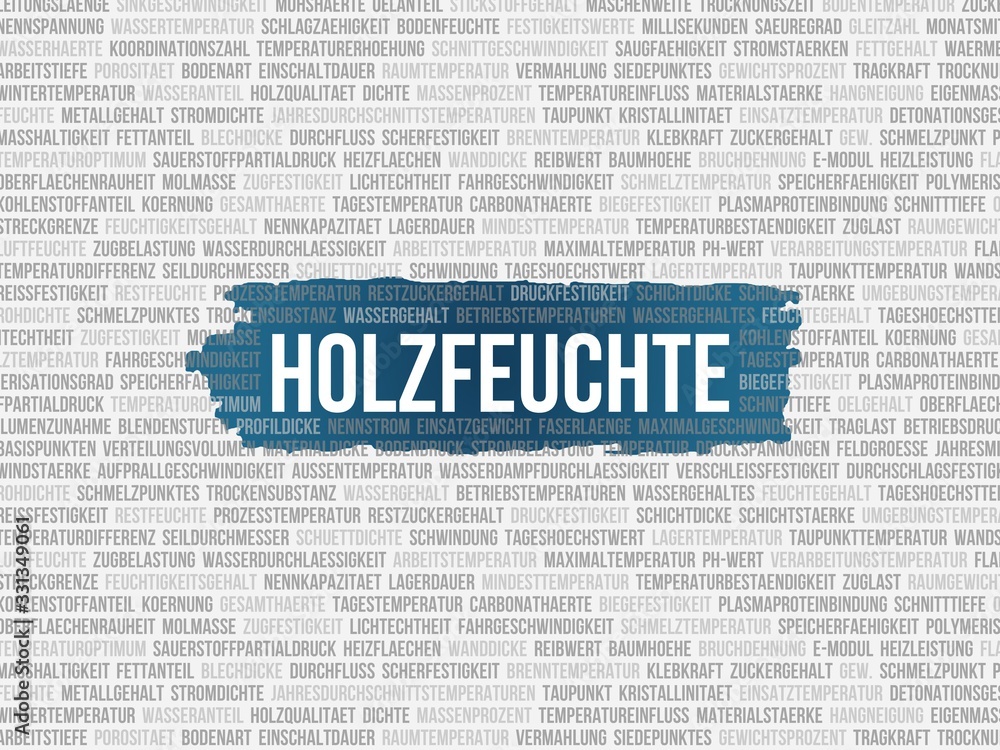 Holzfeuchte