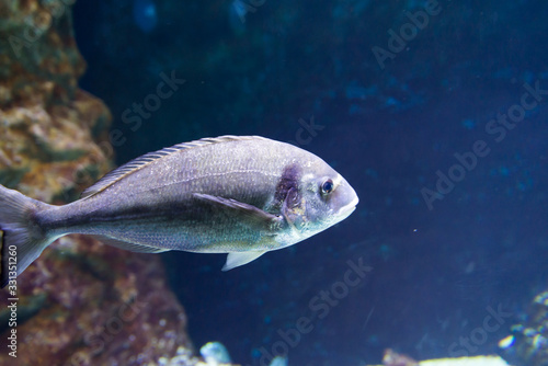 Israel Aquarium in Jerusalem