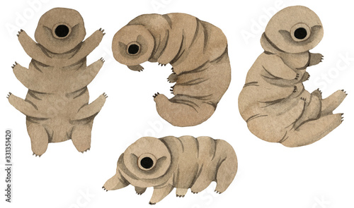 Set of cute kawaii watercolor tardigrades, water bear on white background. Collection of moss piglets. For children prints. Isolated on white background