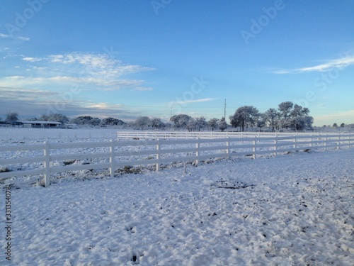Snow in Texas