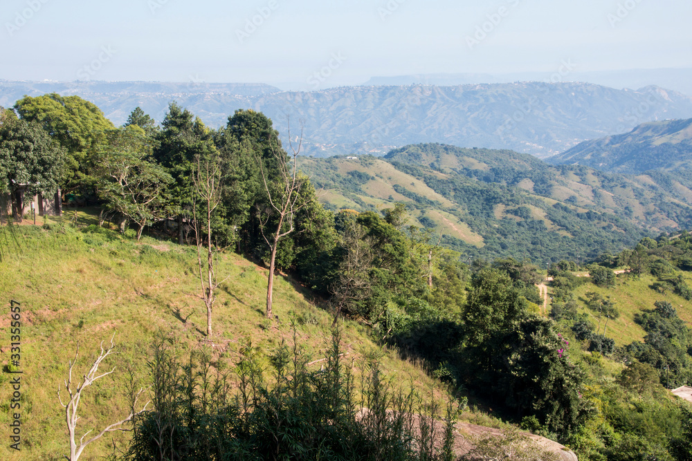 Steep Tree Covered Hillside Leading into Valley