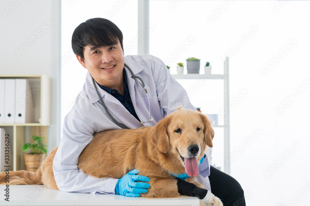 Young asian male veterinarian is sitting and hugging the cute golden retriever dog in veterinary clinic, concept of healthcare and medical for pet animal.