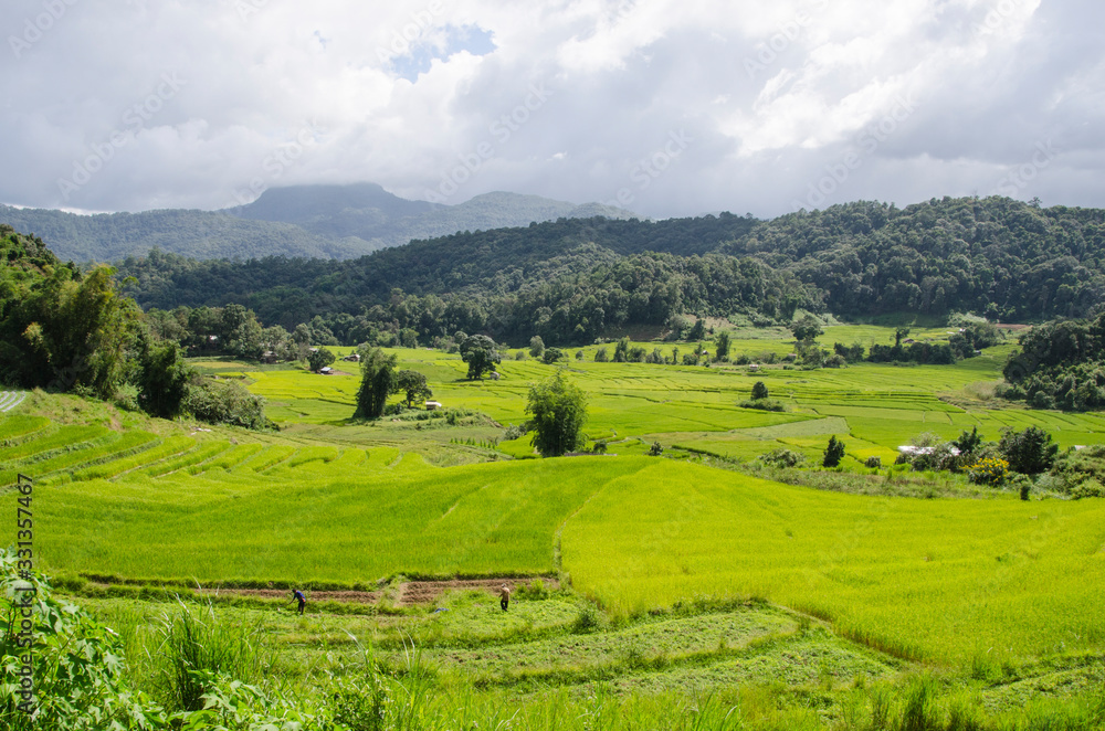 Obraz premium Rainy clouds over green mountains and rice field