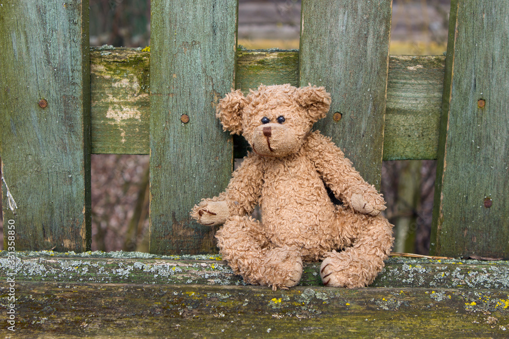 a toy teddy bear sits on a bench on which green paint has peeled off. Abandoned, forgotten toy