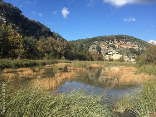 Texas Hill Country Marsh