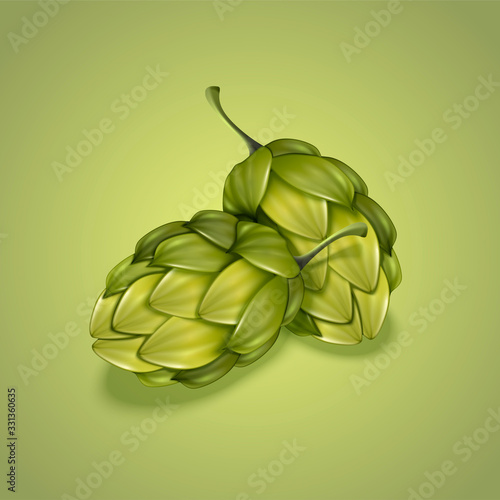 Green hops illustration