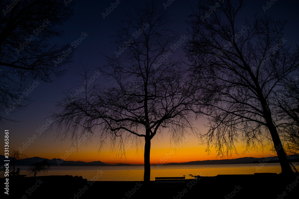 Silhouette of an empty tree in winter on the shores of Lac Leman in Switzerland on a beautiful colorful sunset.