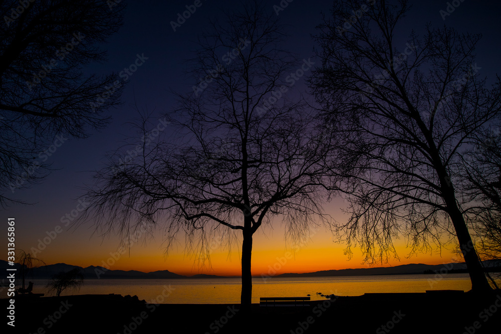 Silhouette of an empty tree in winter on the shores of Lac Leman in Switzerland on a beautiful colorful sunset. Silhouette of an empty tree in winter on the shores of Lac Leman in Switzerland on a beautiful colorful sunset.