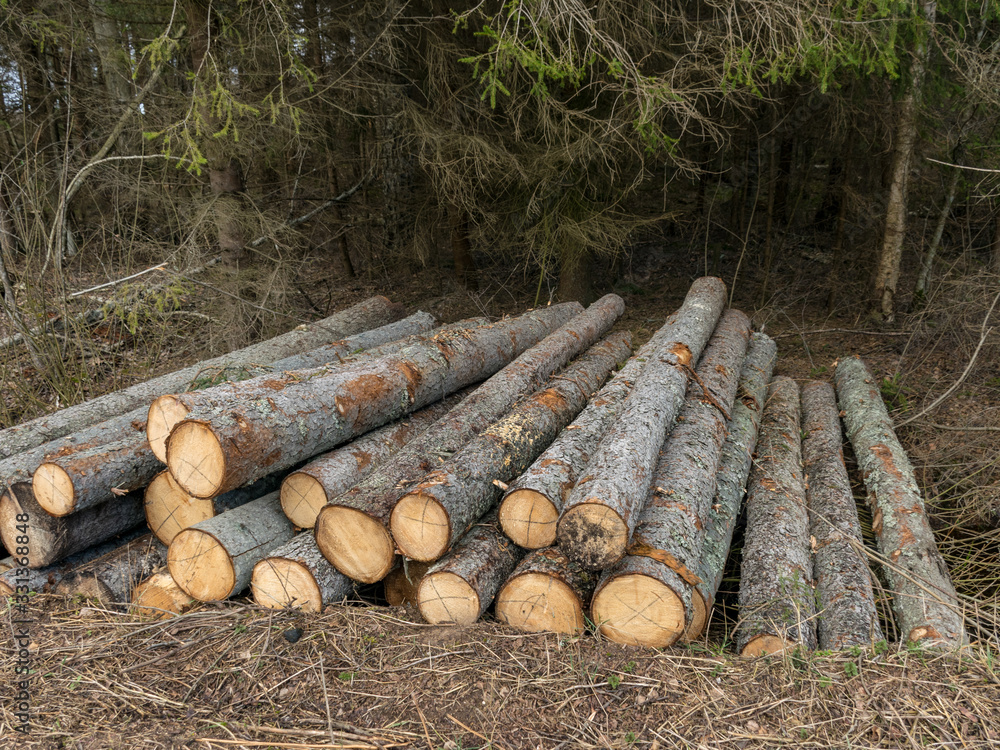 A stack of wooden logs piled on the side of the road A stack of wooden logs piled on the side of the road