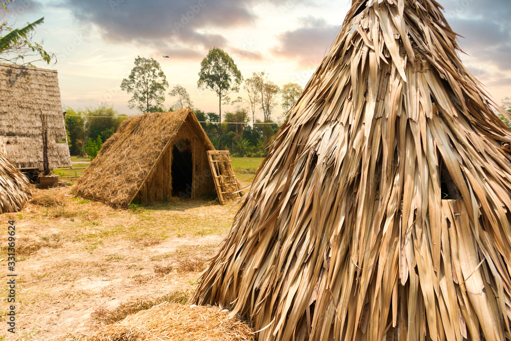 Straw hut or local bungalow camp traditional agriculturist Thai style near rice farm field and forest tree landscape with beautiful sunset twilight sky for rest and relax Straw hut or local bungalow camp traditional agriculturist Thai style near rice farm field and forest tree landscape with beautiful sunset twilight sky for rest and relax