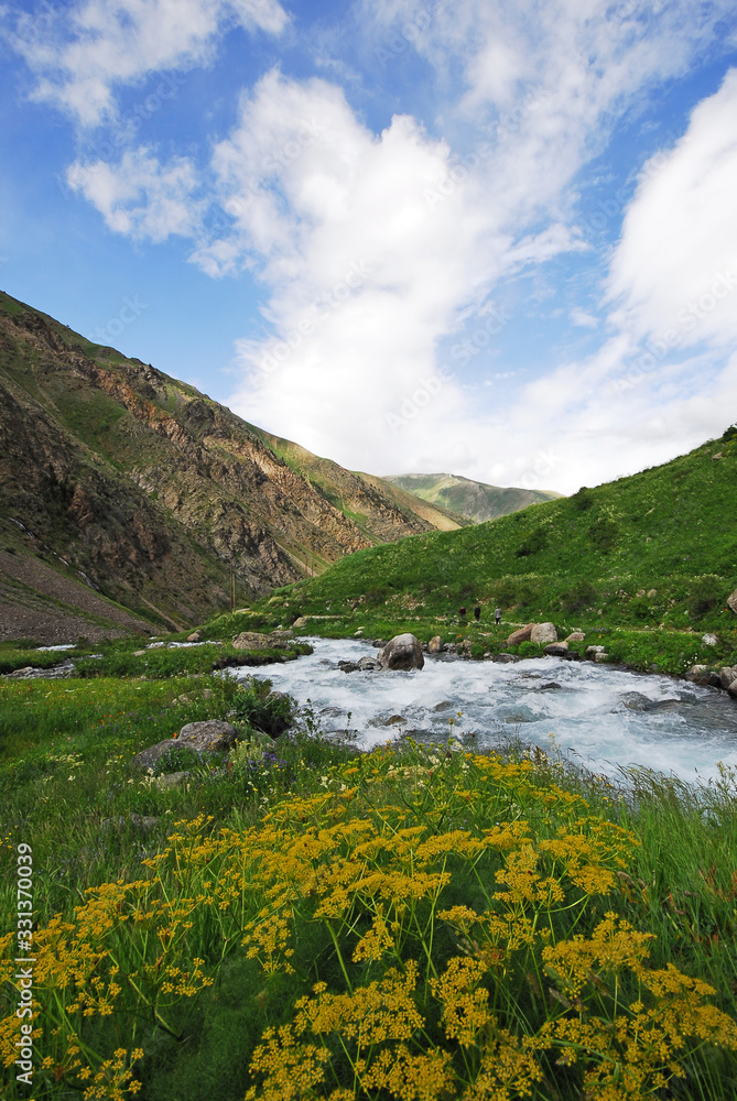 Kackar Mountains national park, Olgunlar, Artvin Turkey. Kackar Mountains national park, Olgunlar, Artvin Turkey.