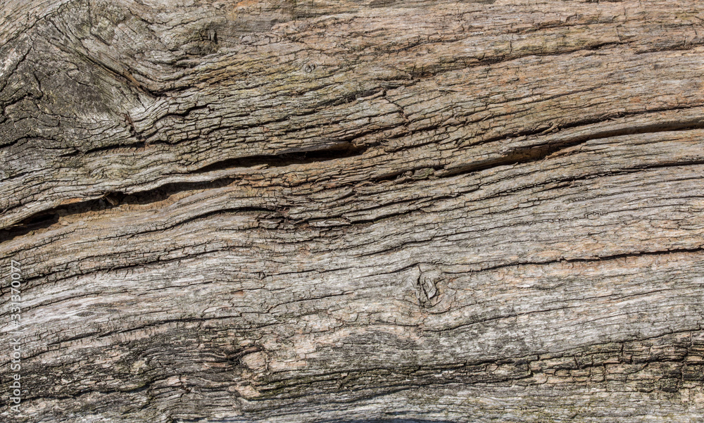 old wood plank texture background