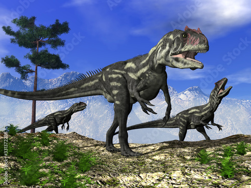 Three allosaurus dinosaurs walking on the hill - 3D render