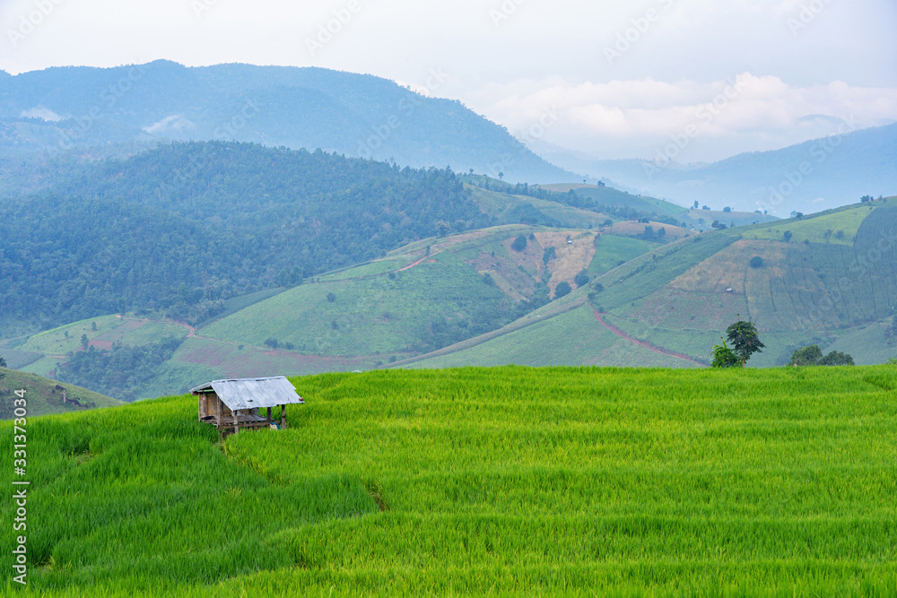 Small wooden shelter in green rice field with mountains background