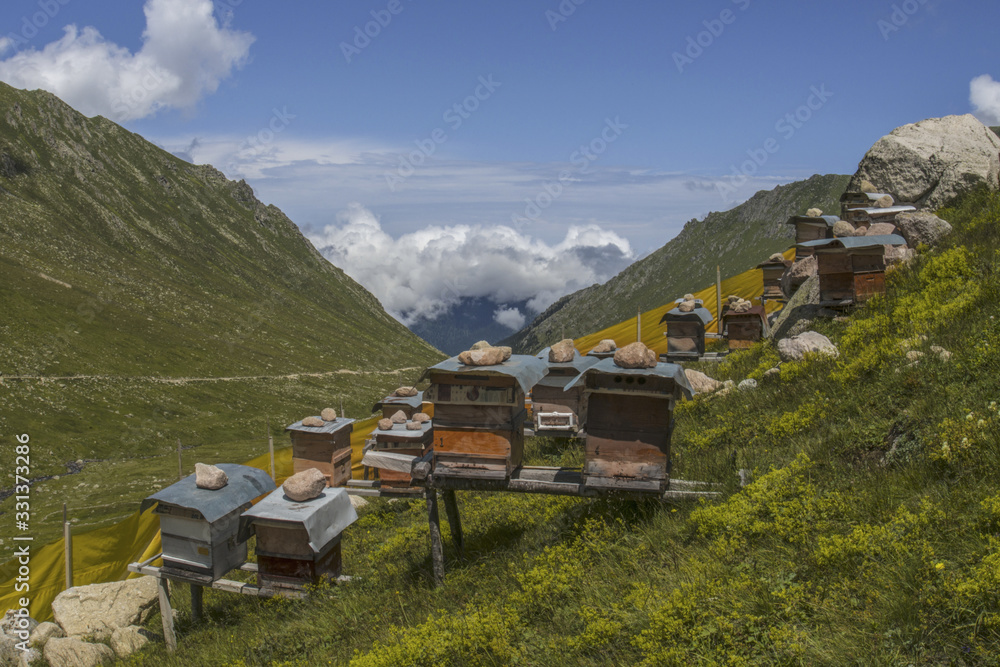 Flying bees. Wooden beehive and bees, Rize Turkey Flying bees. Wooden beehive and bees, Rize Turkey