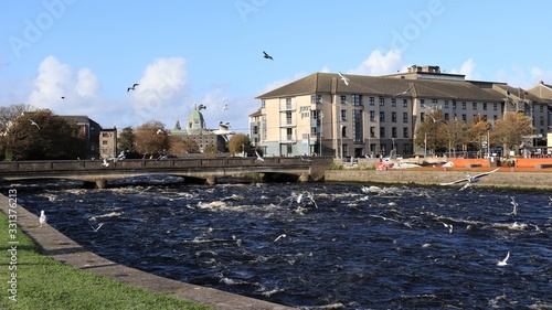 view of Galway city, Ireland, down by the river, sea gulls flying, Spanish arch, sunny spring day,