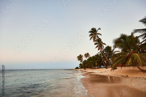 Paradise beach. Tropical paradise  white sand  beach  palm trees and clear water.