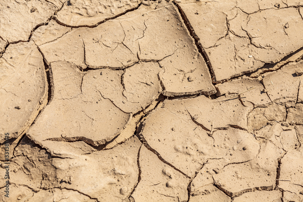 arid land arid land