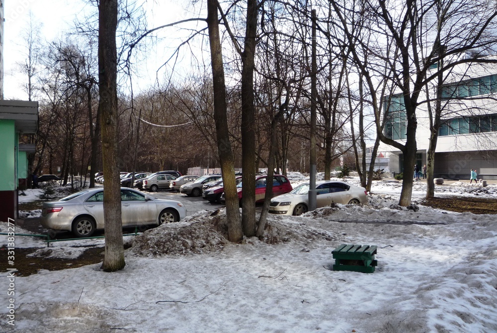 custom made wallpaper toronto digitalwinter in the park