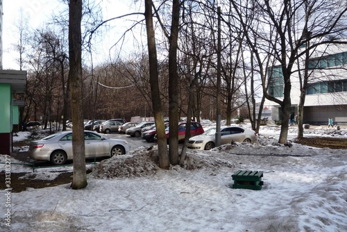 Wallpaper Mural winter in the park Torontodigital.ca