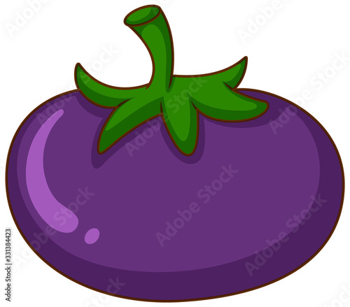 One purple tomato on white background