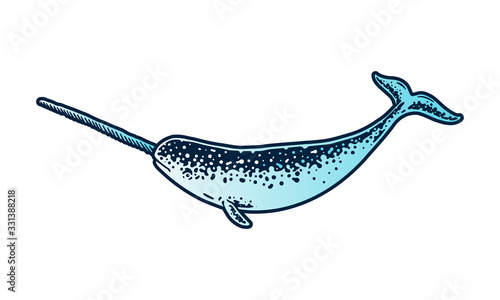 narwhal isolated