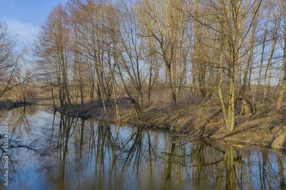 Spring landscape trees without leaves and their reflection in the river. Leafless Trees and River