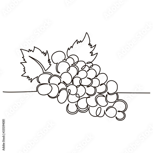 A bunch of grapes berries drawn in one line by hand