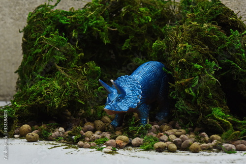 toy model of ceratops stands among moss