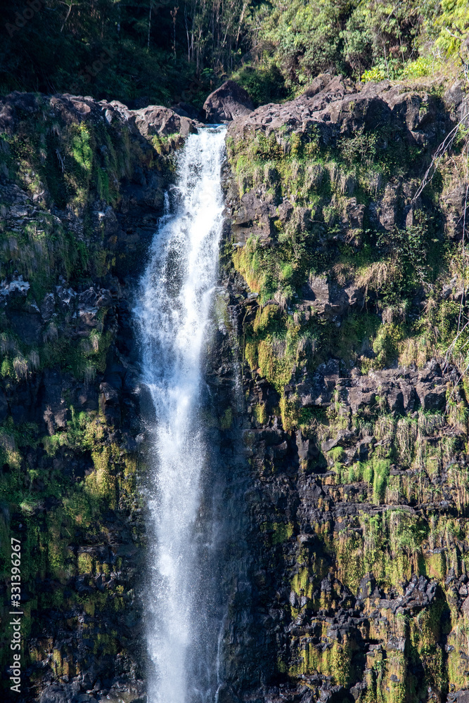 Vertical view of Akaka Falls in Bigh Island Hawaii