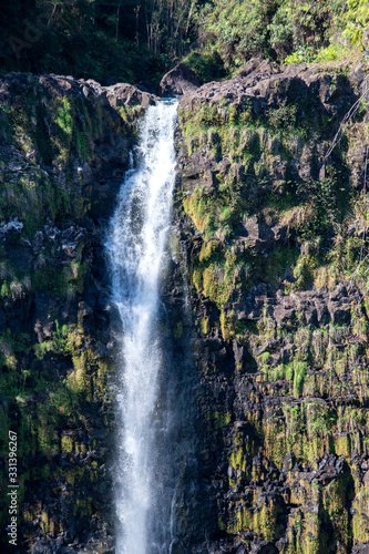 Vertical view of Akaka Falls in Bigh Island Hawaii