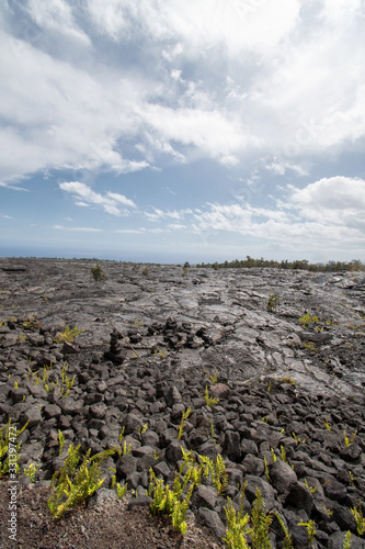 Vertical view of cooled lava flow in Kalapana area in Big Island Hawaii photo