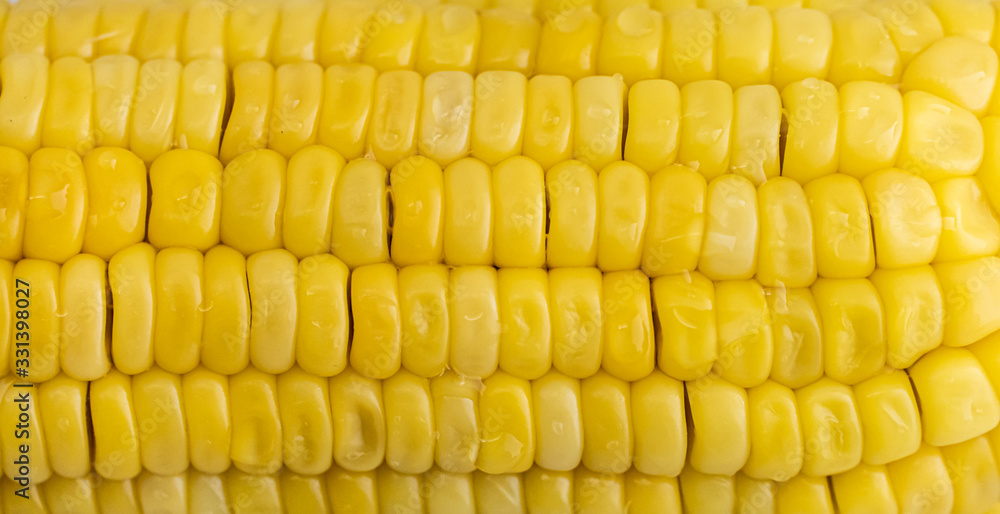 Close up yellow fresh coin. Background for food and vegetable. Close up yellow fresh coin. Background for food and vegetable.