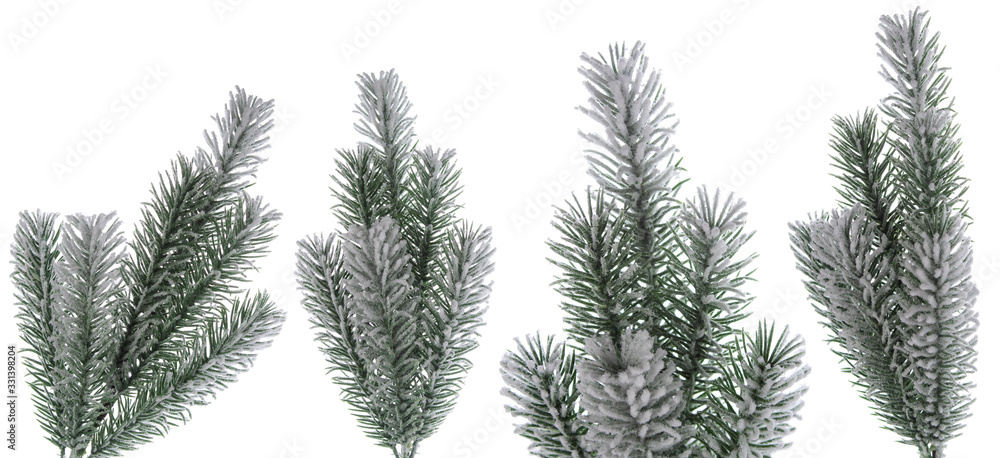 Christmas snow fir tree branch set as part of  winter design isolated on white background