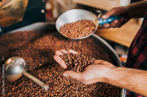 Man's hands holding freshly roasted aromatic coffee beans over a modern coffee roasting machine. photo