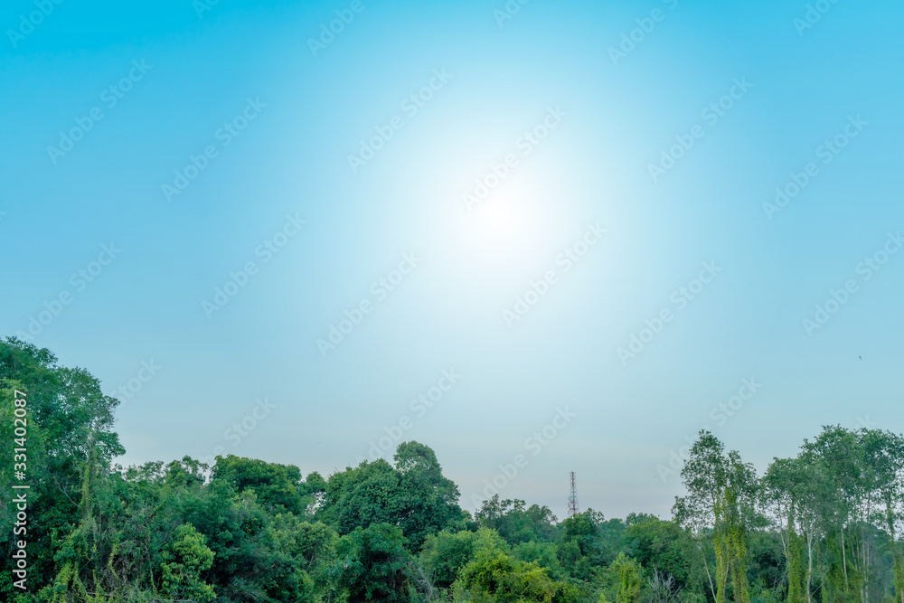 Fototapeta premium Blue sky with cloud bright Nature forest at. Border, Thailand - Malaysia.