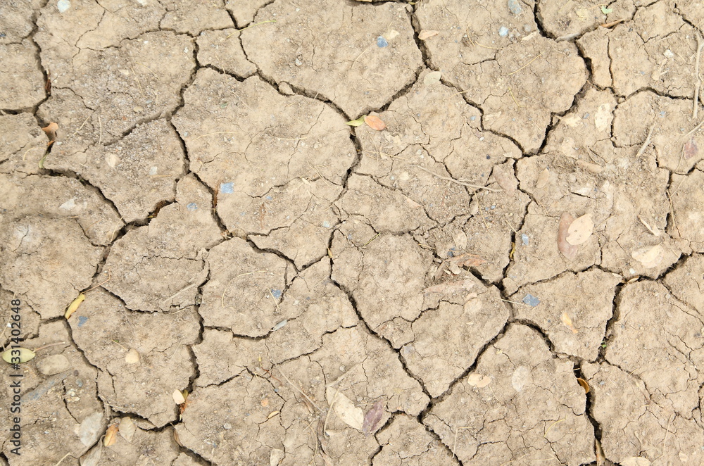 dried soil background dried soil background