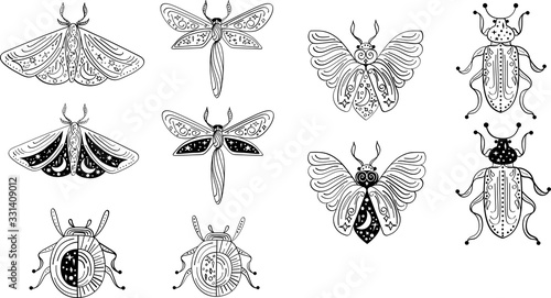 Magical outline illustration of moth, dragonfly, beetle, bug. Mystical clipart of insect for logo, print, card, textil design