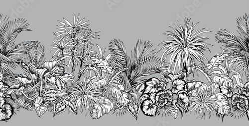 Seamless horizontal border with sketchy palm trees and tropical foliage. photo