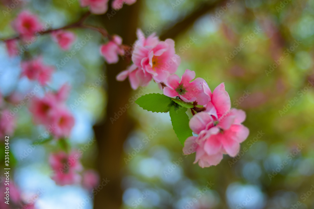 close up plastic sakura flower